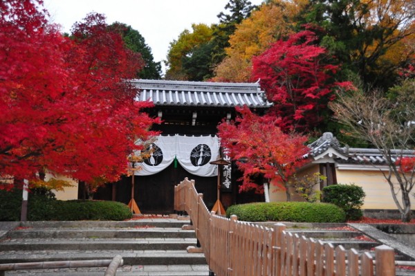 光明寺(アクセス・見どころ・・・) 京都観光