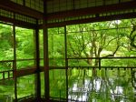 瑠璃光院春の特別拝観