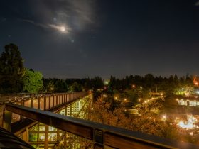 けいはんな記念公園観月の夕べ