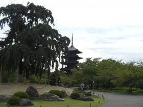 東寺見どころ（To-ji Temple）　