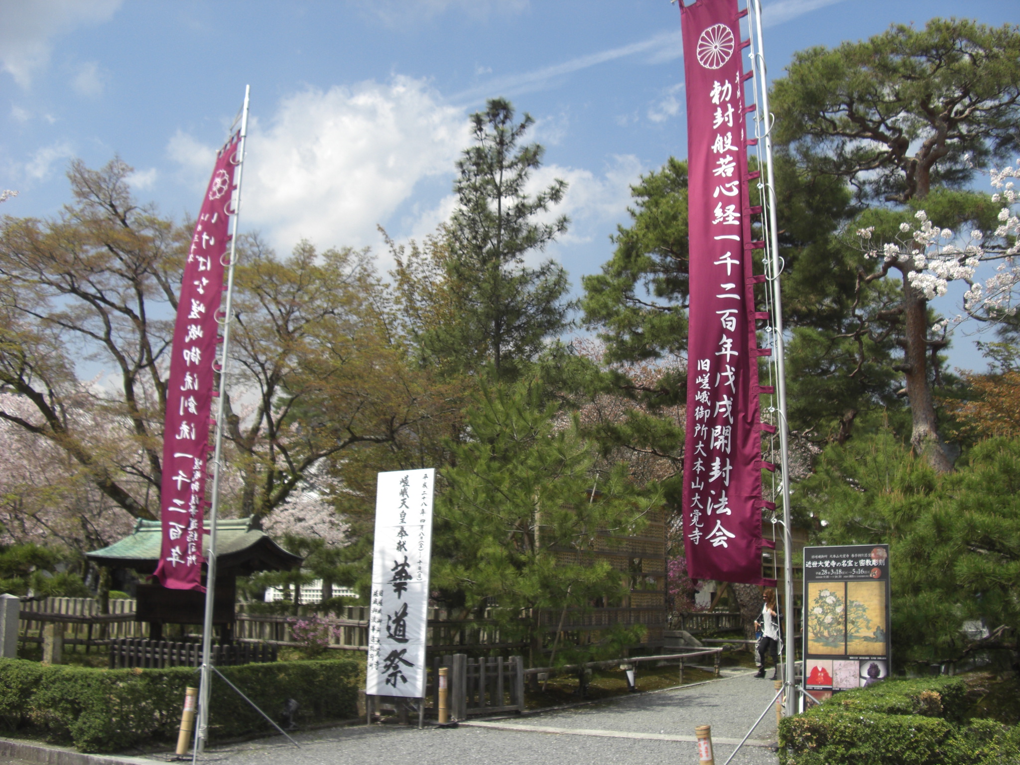 【本日限定セール❗️】嵯峨御流 花の源氏五十四帖 いけばな 源氏物語 短歌 大覚寺 嵯峨御流花の源氏五十四帖 - メルカリ