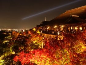 清水寺紅葉ライトアップ（Kiyomizu-dera Temple Night Illumination）