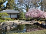 二条城清流園・二条城見どころ
