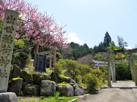 出世稲荷神社